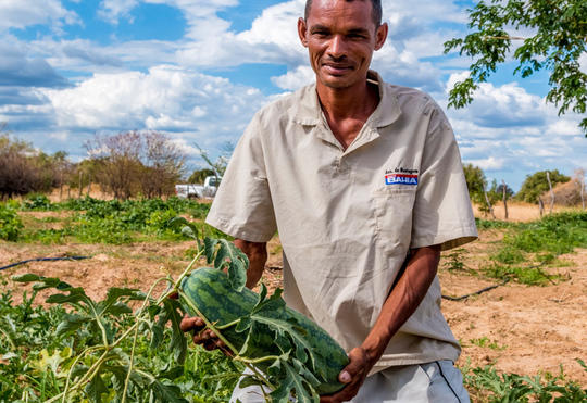 Medium agricultura